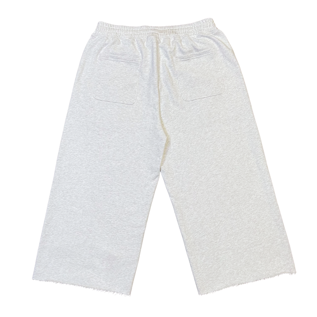 “We got next” 3/4 Shorts Heather grey